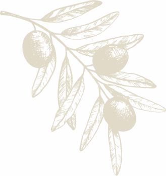Vector3