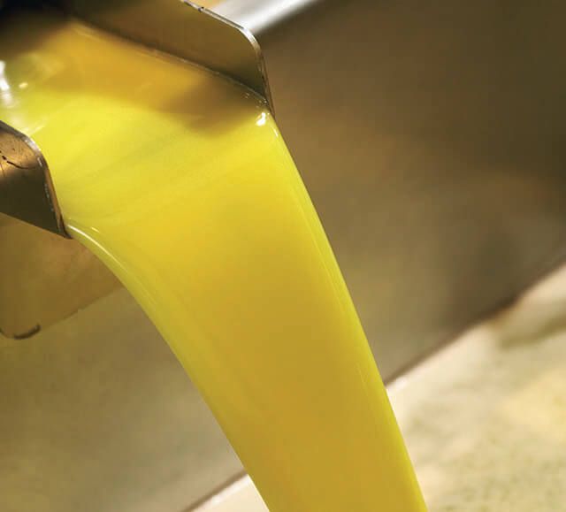 aceite de la denominación de origen estepa